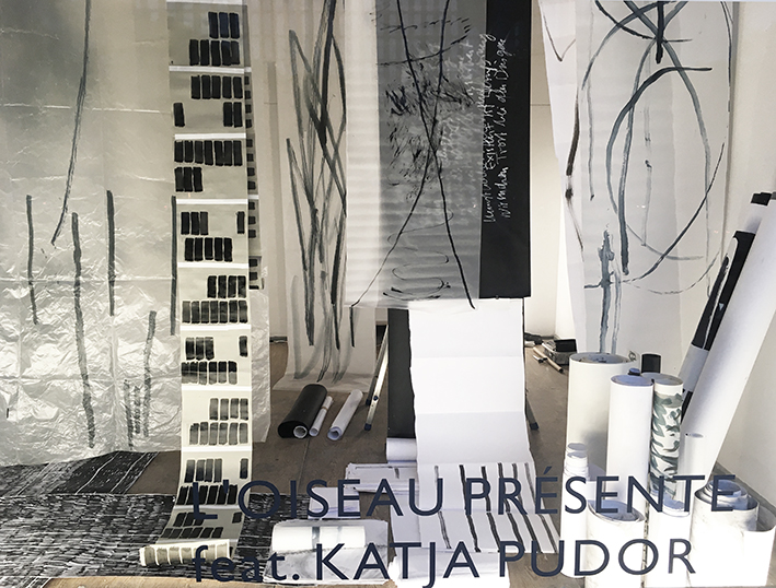 Katja Pudor, Manipulating the Archive, Haus der Statistik, 2019